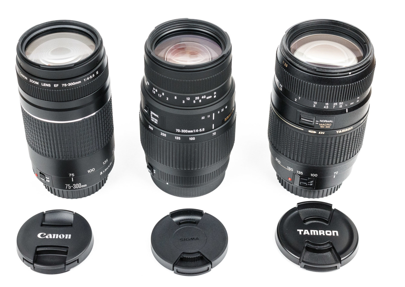 Vergleich Teleobjektive Canon EF 75-300mm vs. Sigma 70-300mm vs. Tamron