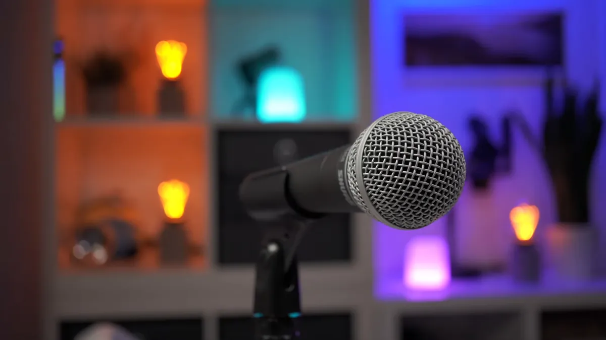 Shure SM58 in der Halterung